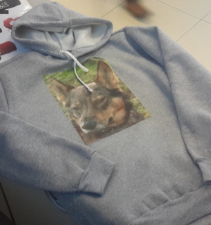 20160220_170523.jpg