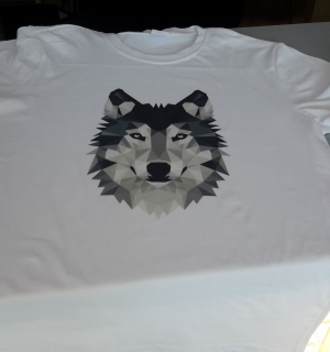 20160601_155323.jpg