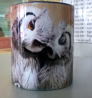WP_20160530_001.jpg
